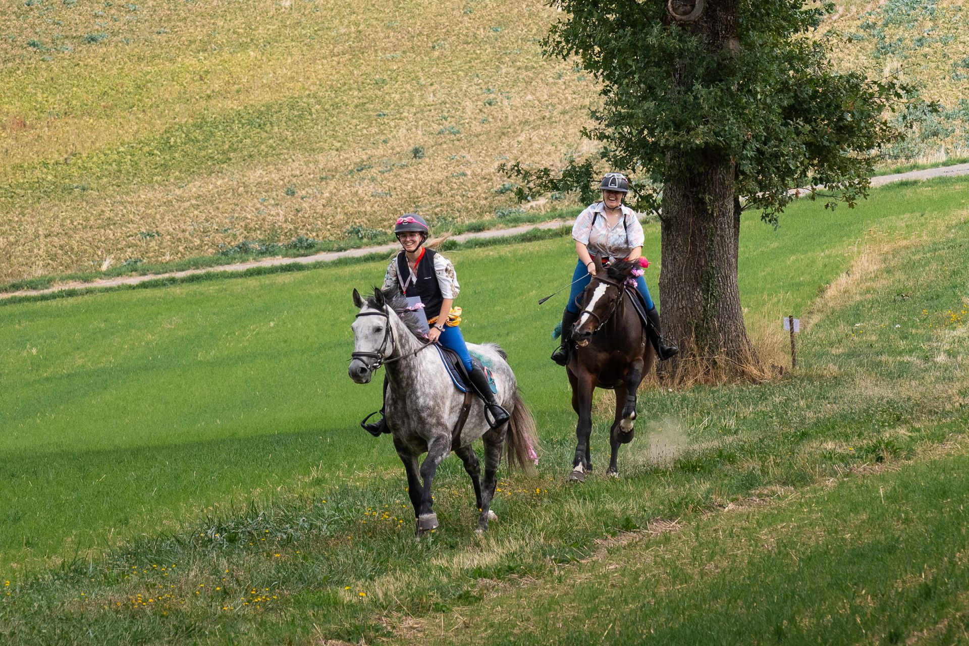 Horsestrail Combremont du 5 septembre 2026 — photo 85 du reportage PawsOnTrack