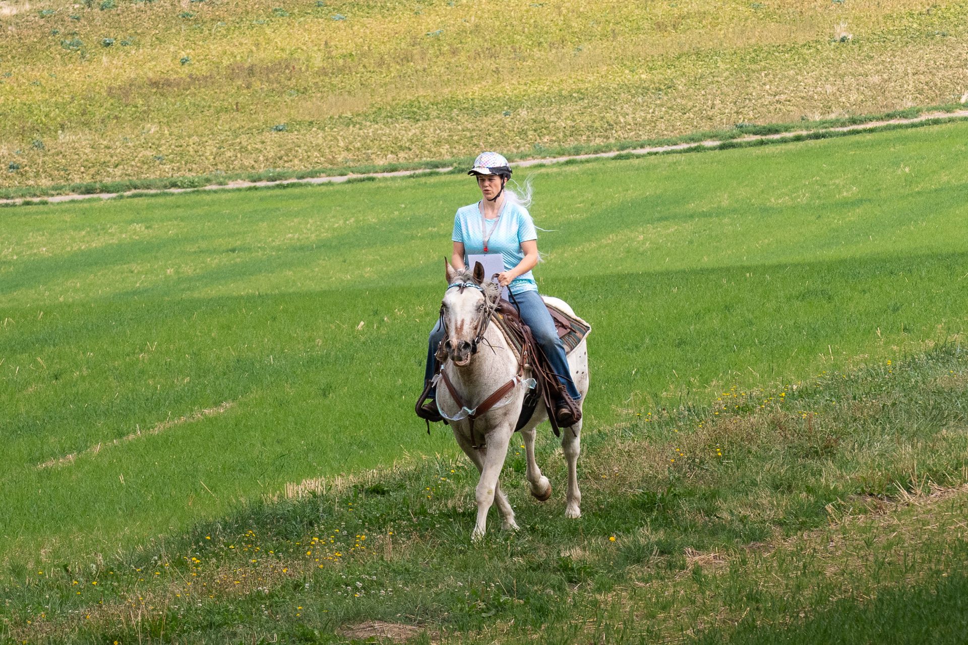 Horsestrail Combremont du 5 septembre 2026 — photo 40 du reportage PawsOnTrack