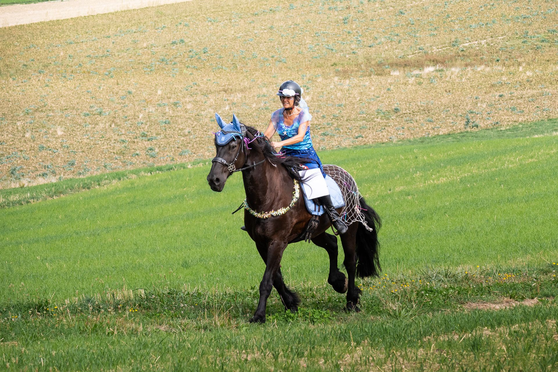 Horsestrail Combremont du 5 septembre 2026 — photo 55 du reportage PawsOnTrack