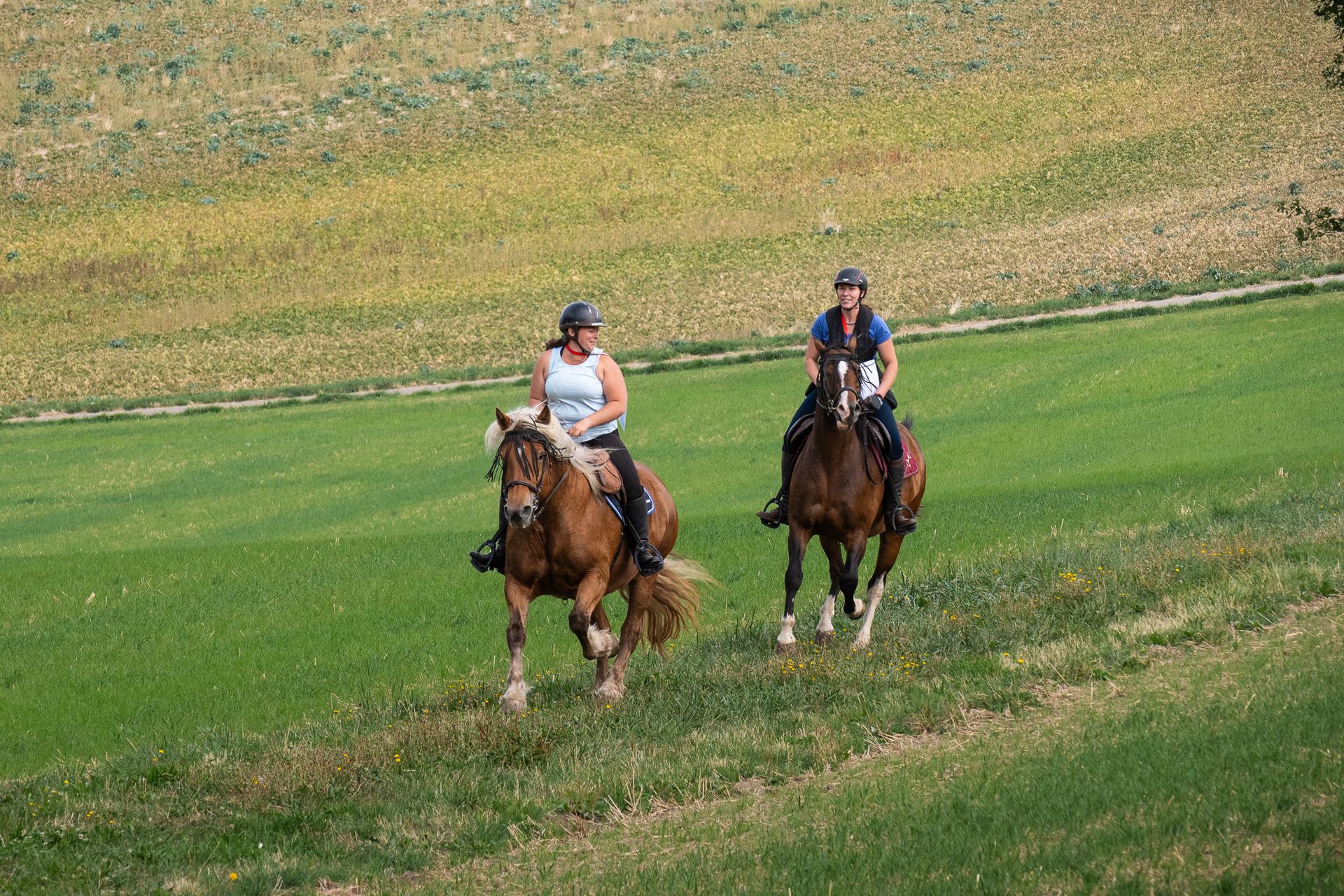 Horsestrail Combremont du 5 septembre 2026 — photo 88 du reportage PawsOnTrack
