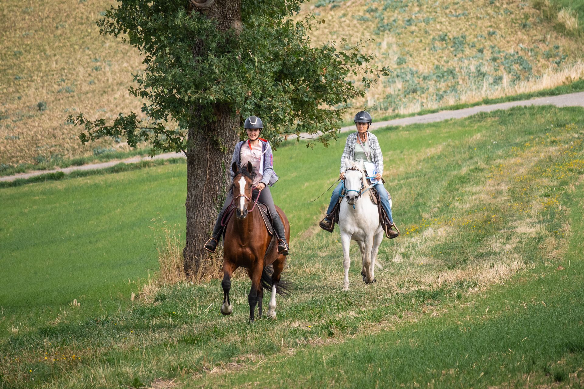 Horsestrail Combremont du 5 septembre 2026 — photo 43 du reportage PawsOnTrack