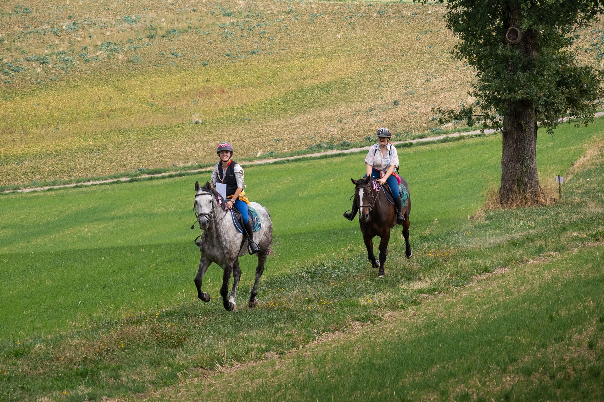 Horsestrail Combremont du 5 septembre 2026 — photo 91 du reportage PawsOnTrack