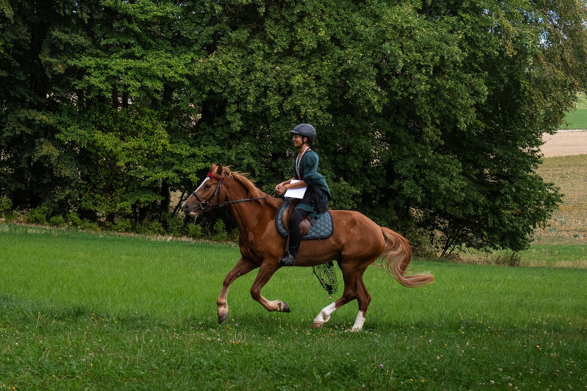 Horsestrail Combremont du 5 septembre 2026 — photo 121 du reportage PawsOnTrack