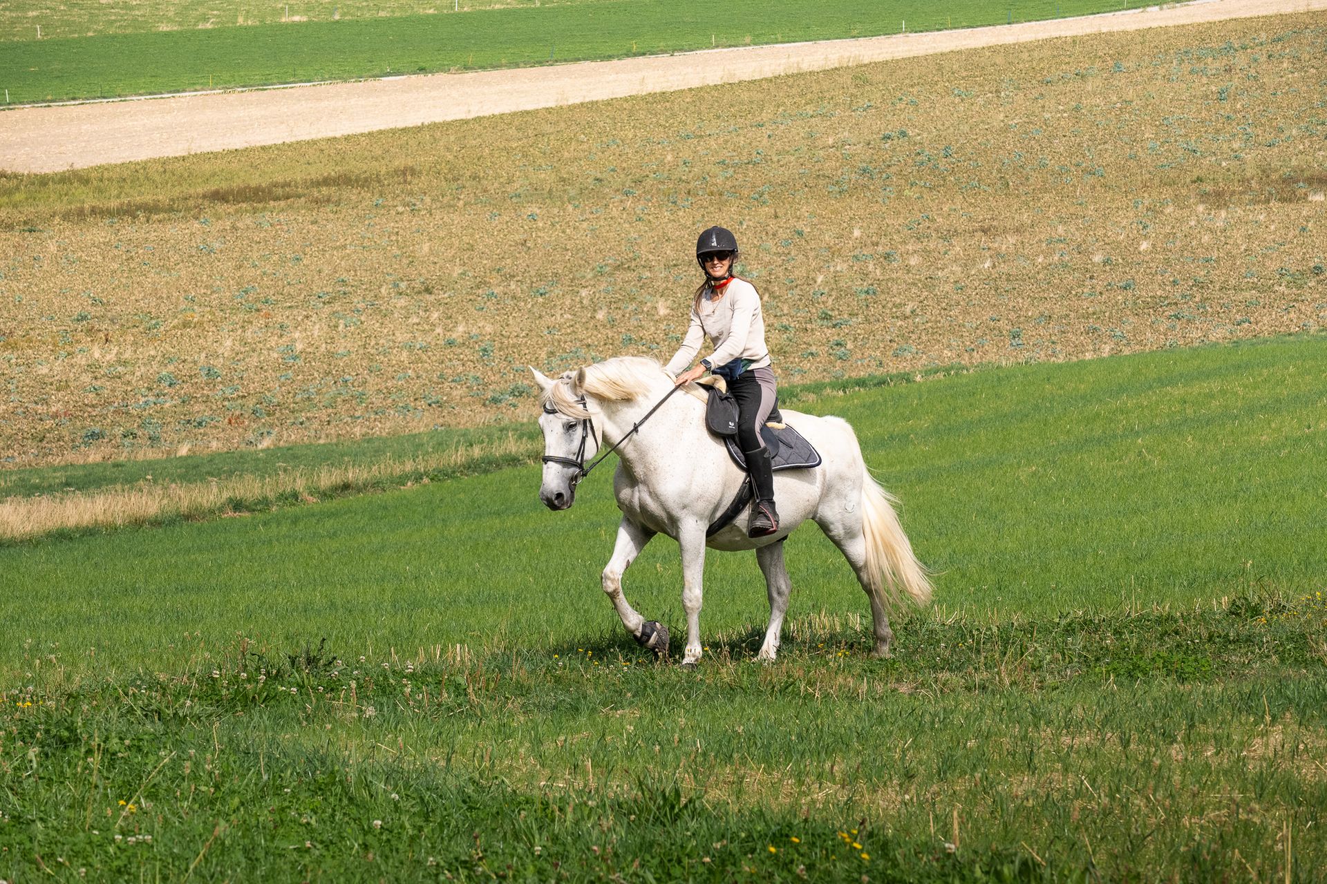 Horsestrail Combremont du 5 septembre 2026 — photo 130 du reportage PawsOnTrack