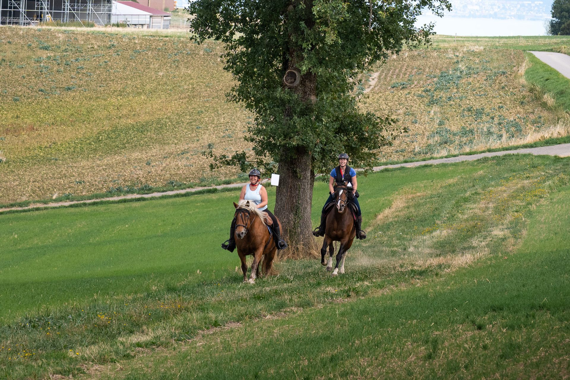 Horsestrail Combremont du 5 septembre 2026 — photo 139 du reportage PawsOnTrack