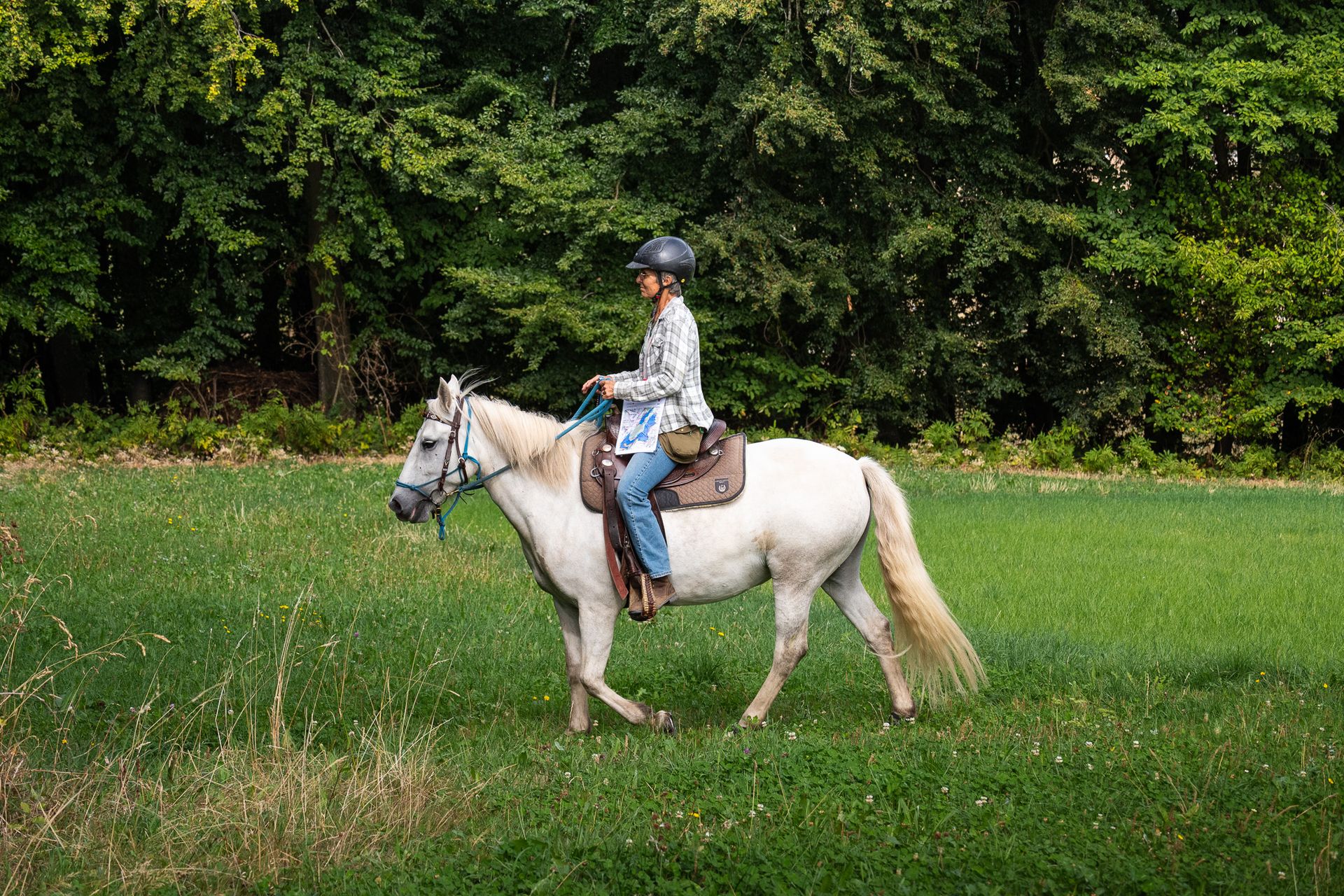 Horsestrail Combremont du 5 septembre 2026 — photo 133 du reportage PawsOnTrack