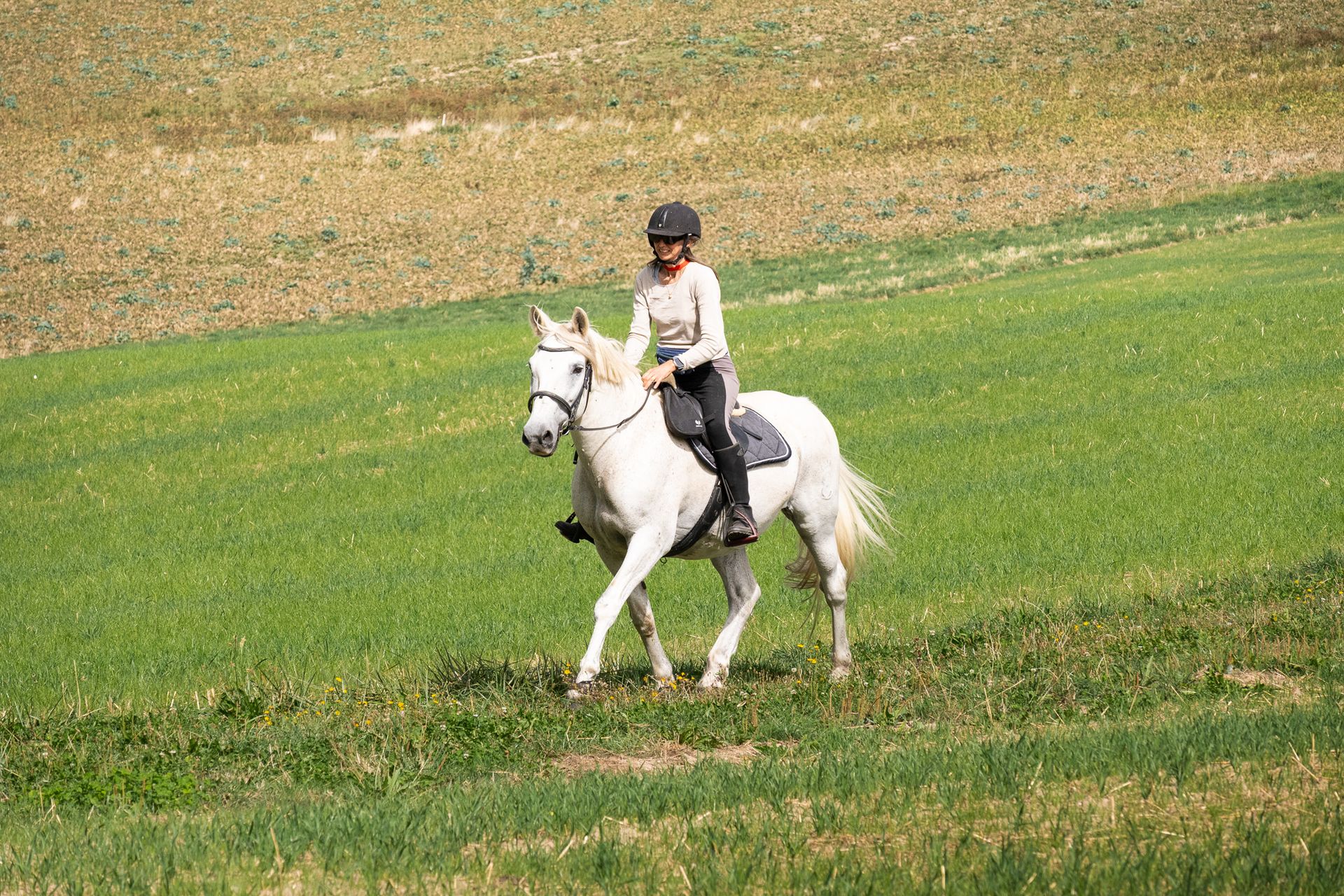 Horsestrail Combremont du 5 septembre 2026 — photo 118 du reportage PawsOnTrack