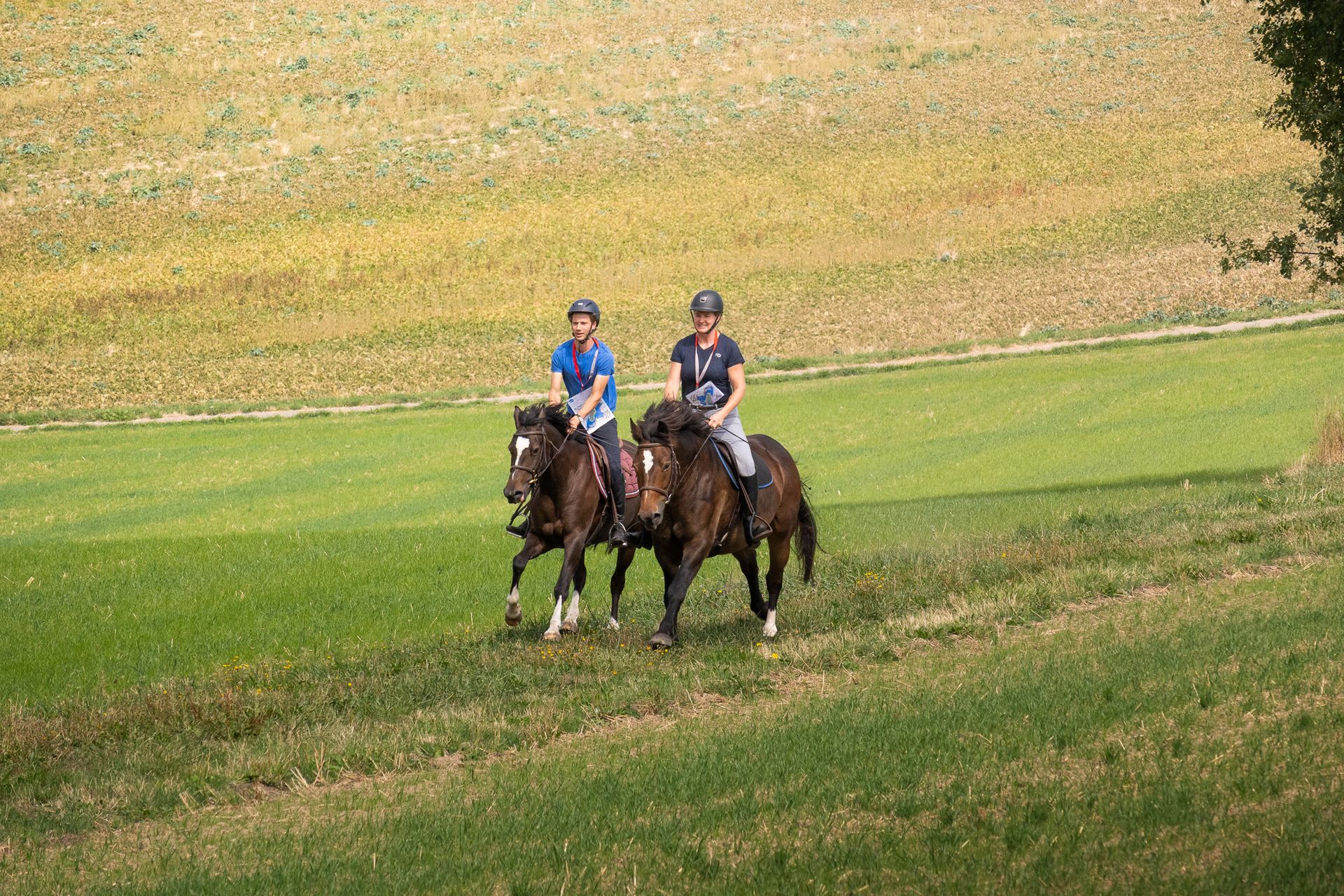Horsestrail Combremont du 5 septembre 2026 — photo 142 du reportage PawsOnTrack