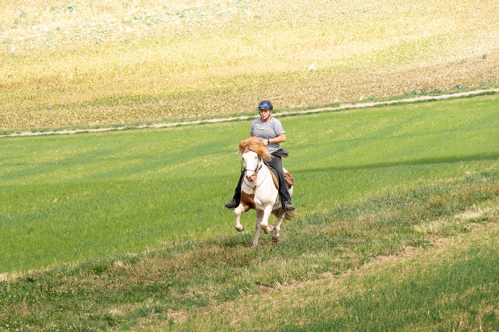 Horsestrail Combremont du 5 septembre 2026 — photo 184 du reportage PawsOnTrack