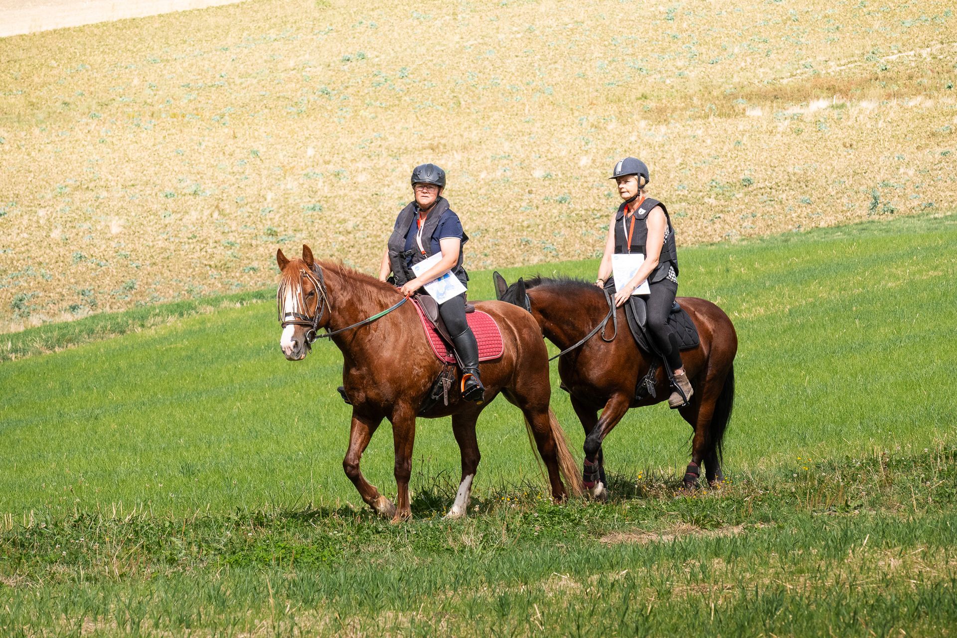 Horsestrail Combremont du 5 septembre 2026 — photo 106 du reportage PawsOnTrack