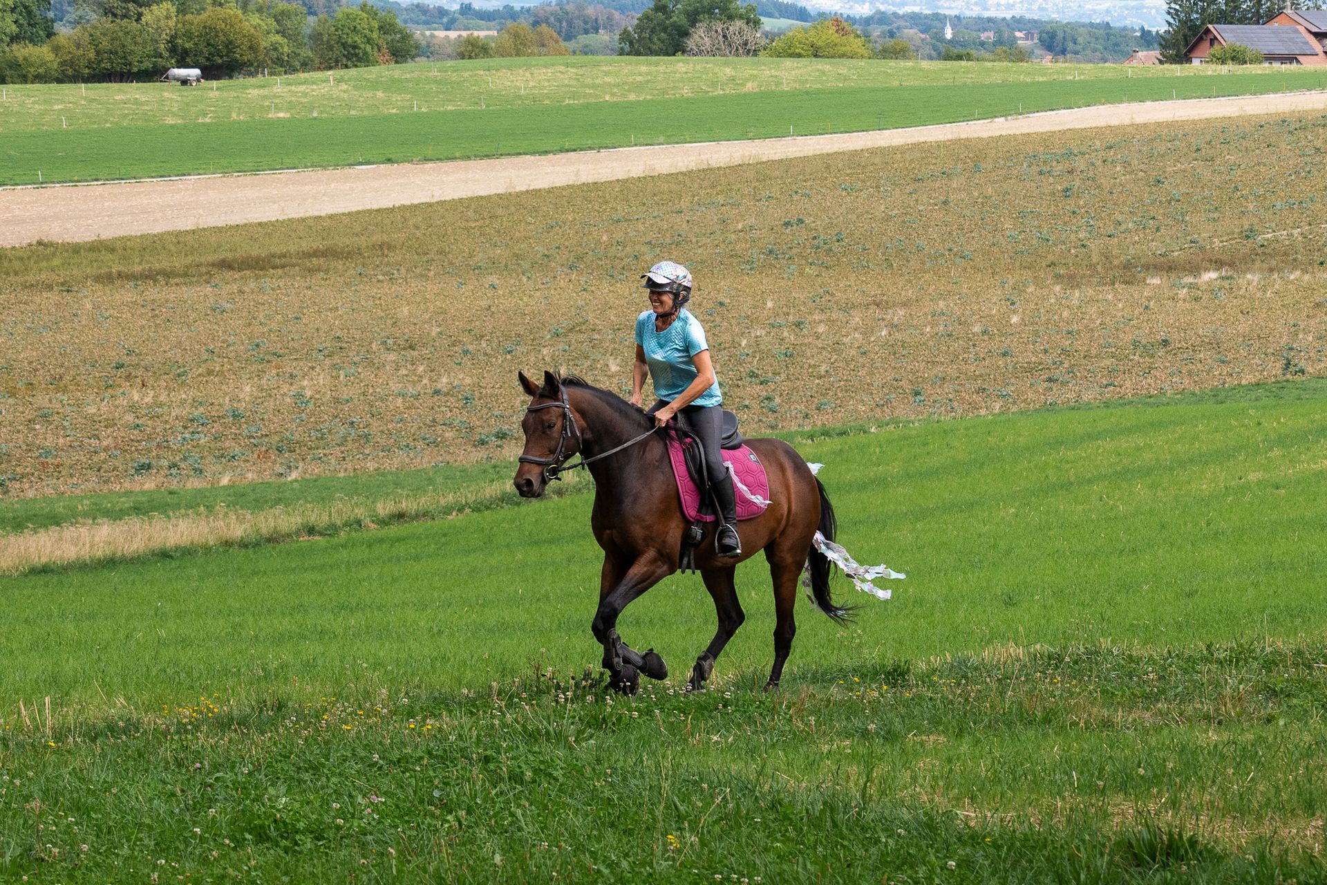 Horsestrail Combremont du 5 septembre 2026 — photo 112 du reportage PawsOnTrack