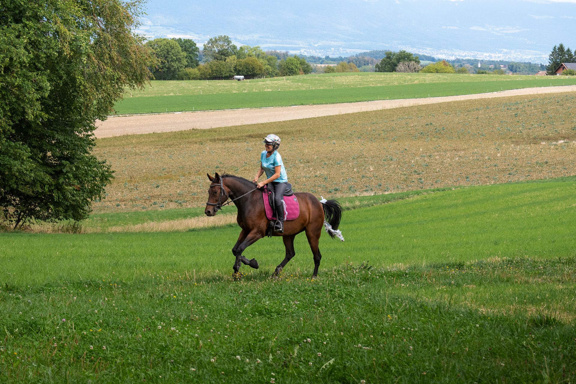 Horsestrail Combremont du 5 septembre 2026 — photo 109 du reportage PawsOnTrack