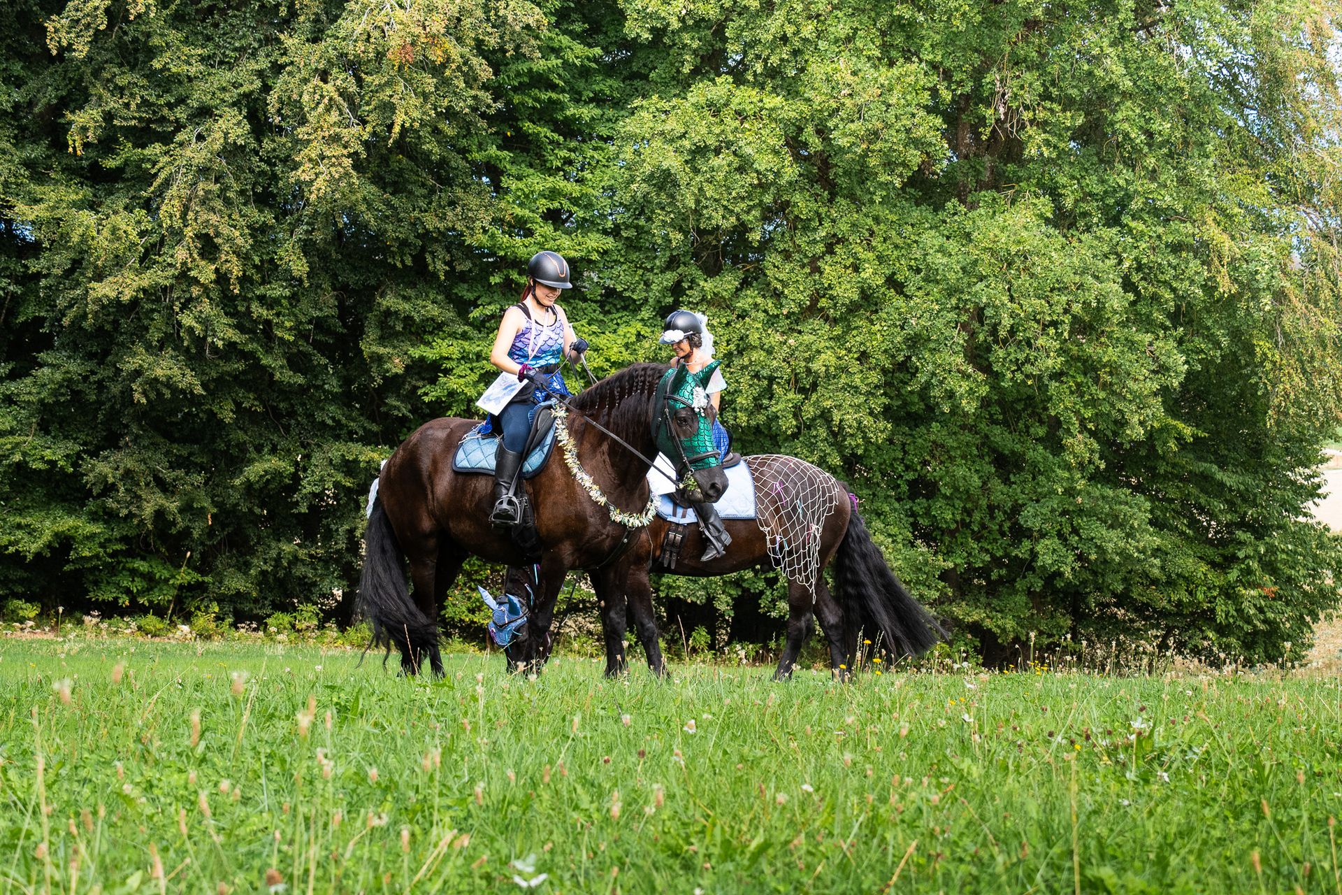 Horsestrail Combremont du 5 septembre 2026 — photo 196 du reportage PawsOnTrack