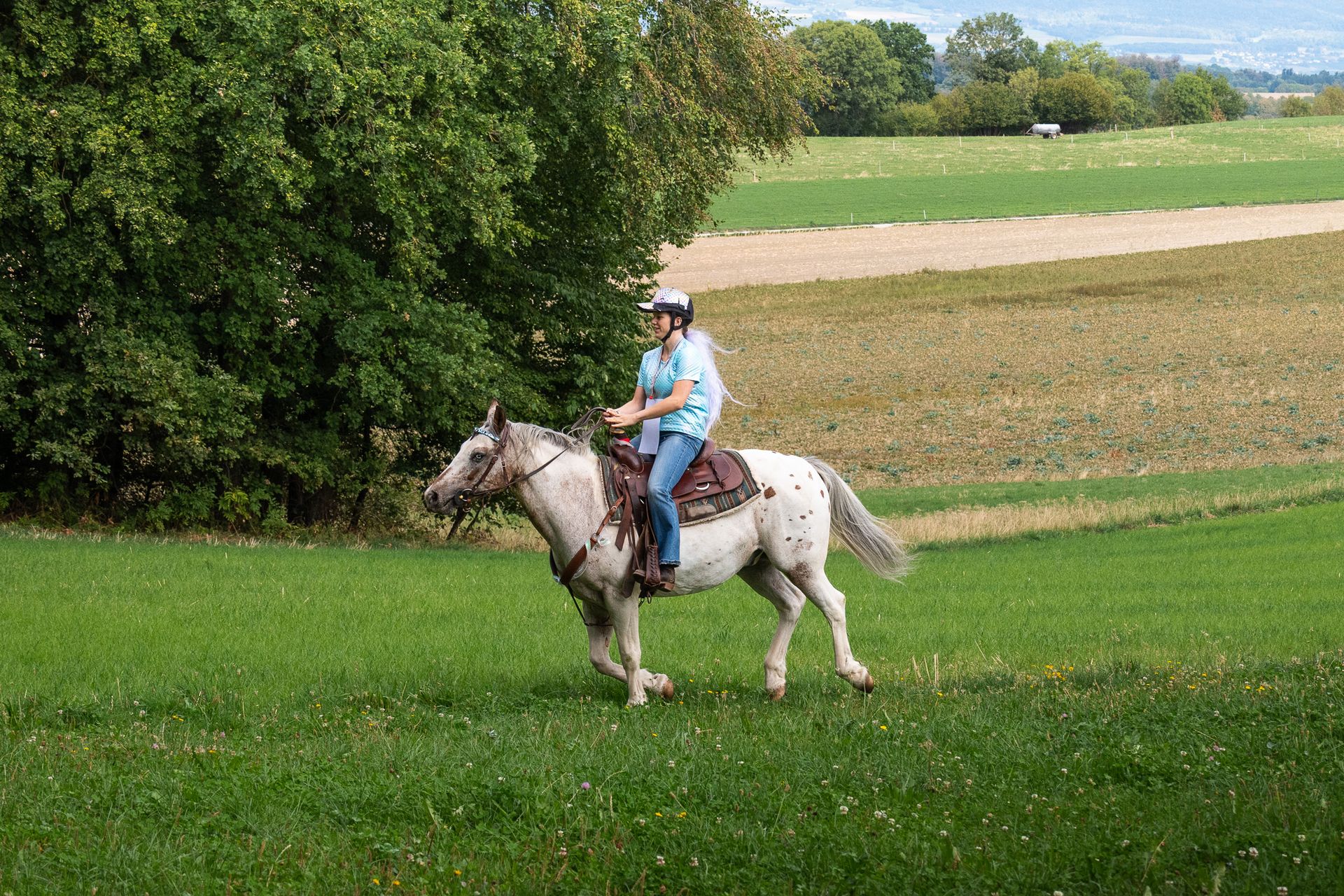 Horsestrail Combremont du 5 septembre 2026 — photo 145 du reportage PawsOnTrack